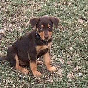 Meet your Posher, Tracey